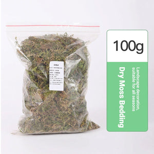 Natural Dry Moss for Hamsters & Reptiles Soft Bedding & Landscaping (100g)