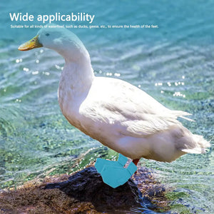 Adjustable Duck Shoes for Outdoor Foot Protection and Comfort