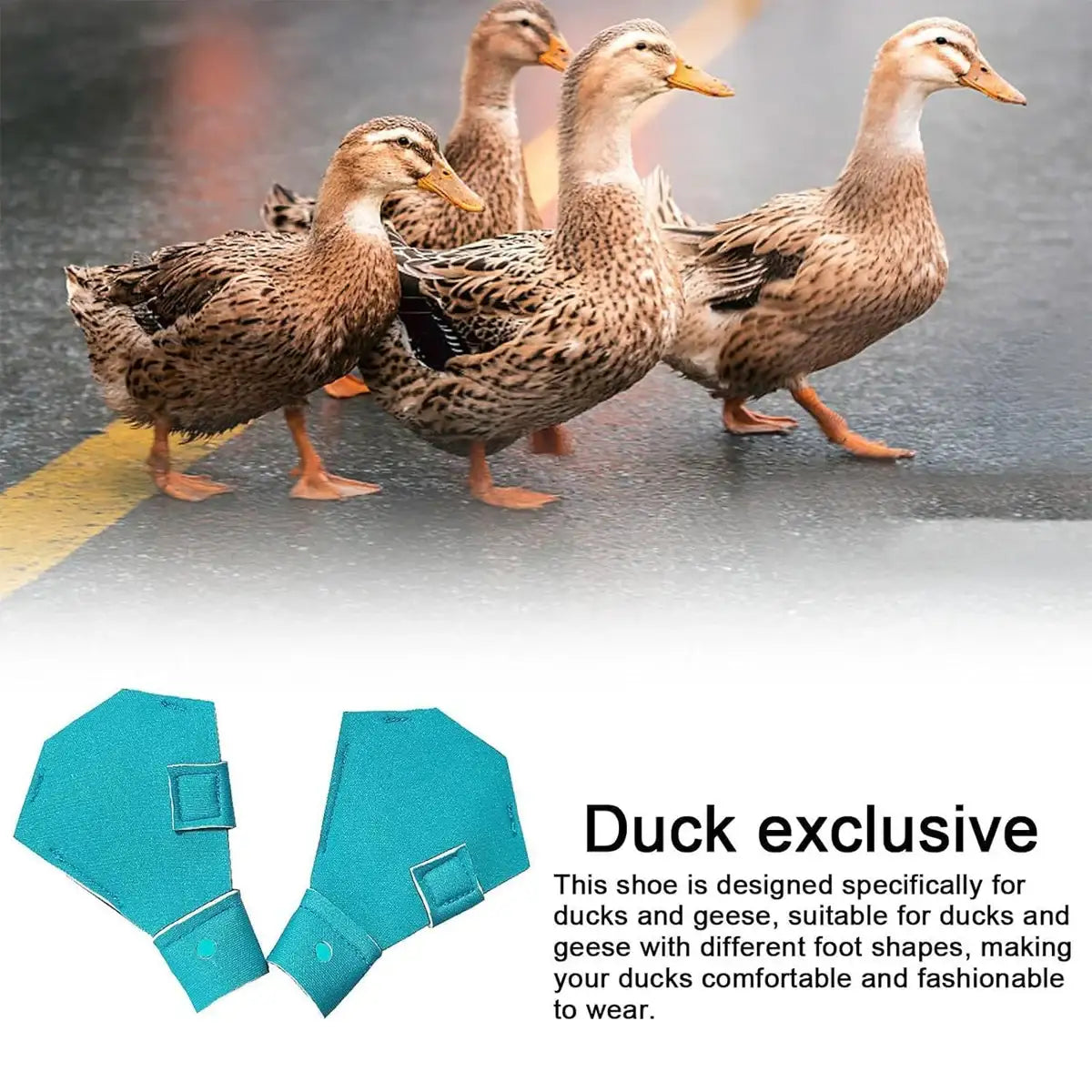 Adjustable Duck Shoes for Outdoor Foot Protection and Comfort
