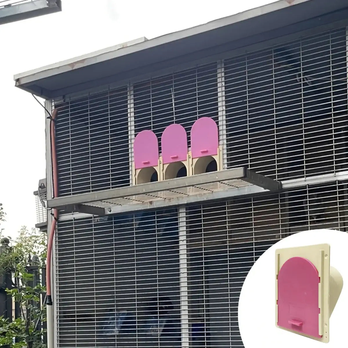 One-Way Bird Cage Door for Pigeons with Secure Entry Design
