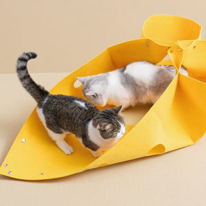 Felt Cat House Multi-Shape Convertible Cat Bed & Play Toy