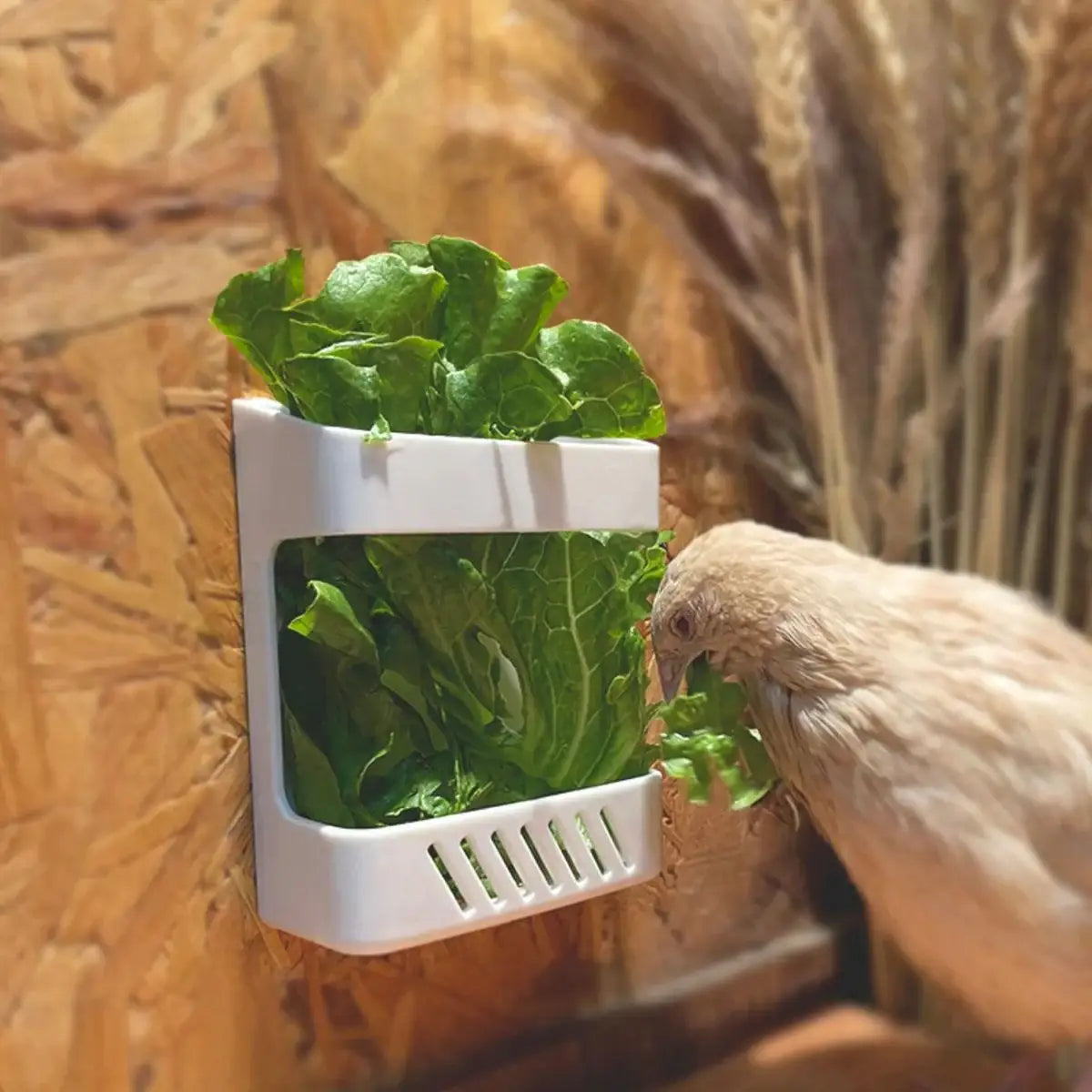 Wall-Mounted Poultry Feeder for Chickens & Small Animals Clean Feeding Solution