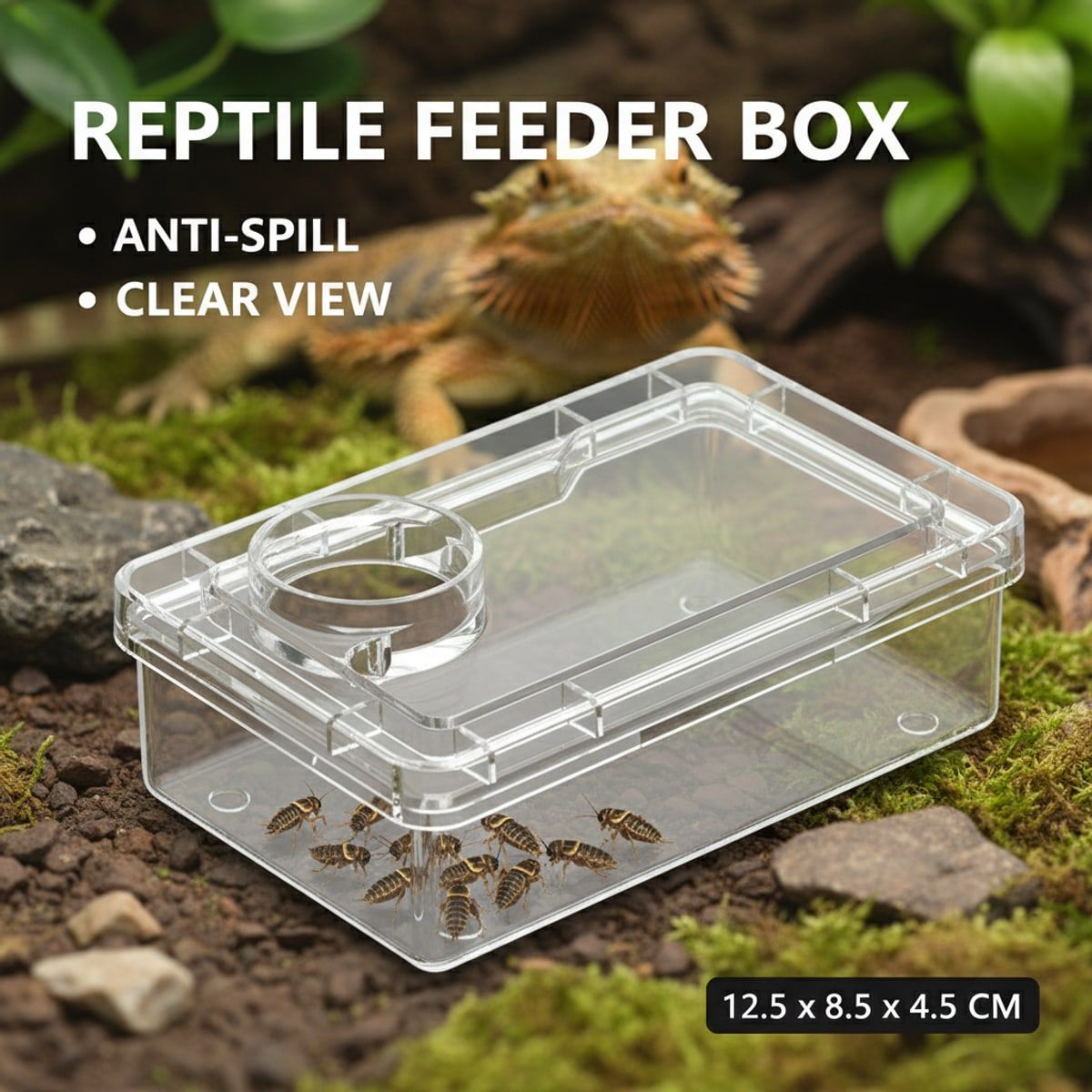 Clear Reptile Feeder Box with Anti-Spill Lid