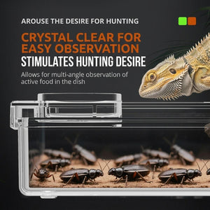 Clear Reptile Feeder Box with Anti-Spill Lid
