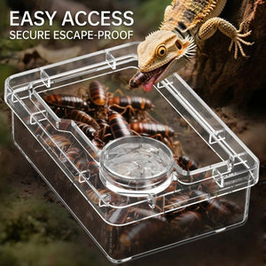 Clear Reptile Feeder Box with Anti-Spill Lid