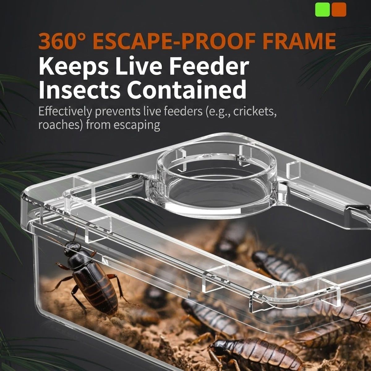 Clear Reptile Feeder Box with Anti-Spill Lid