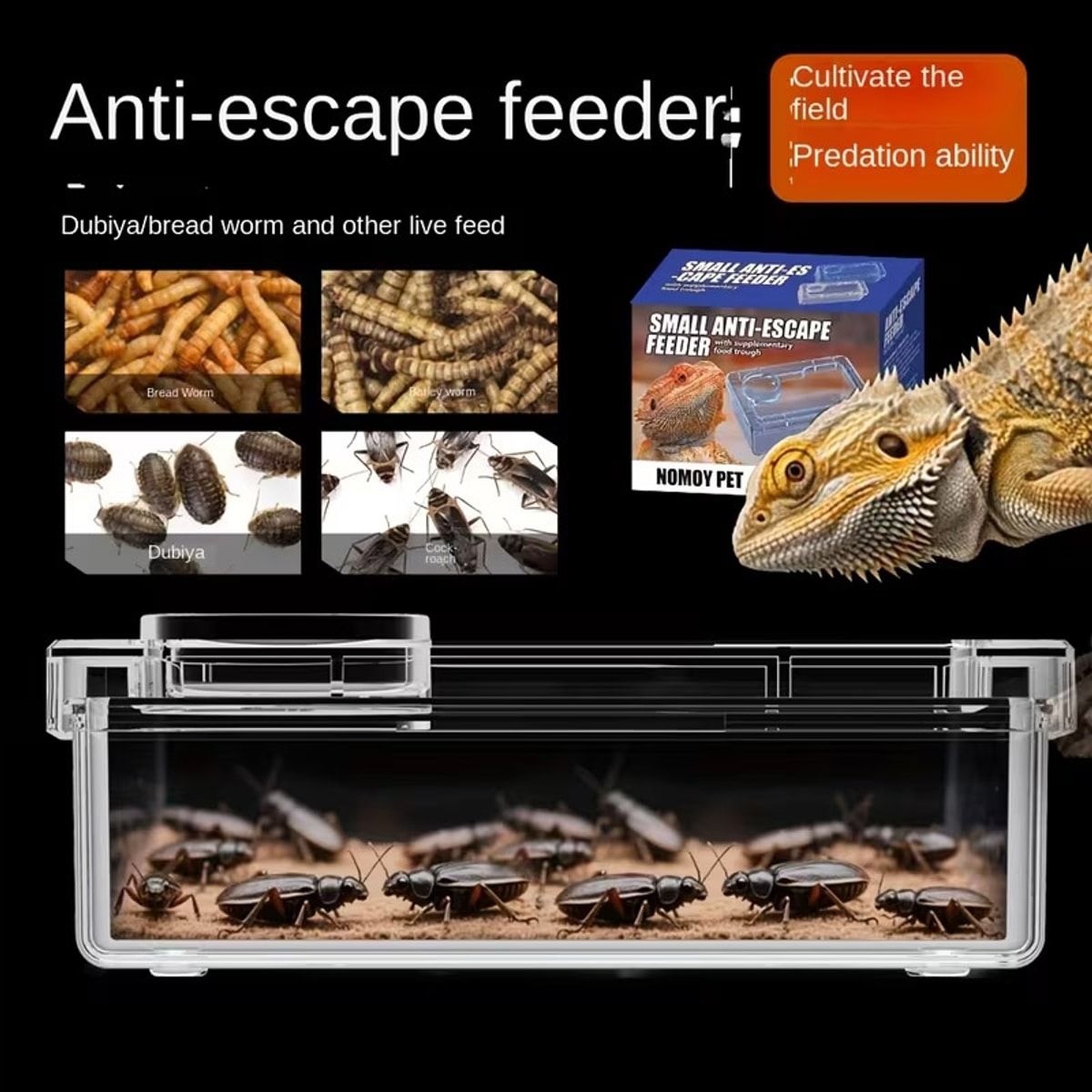 Clear Reptile Feeder Box with Anti-Spill Lid