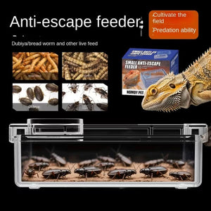 Clear Reptile Feeder Box with Anti-Spill Lid
