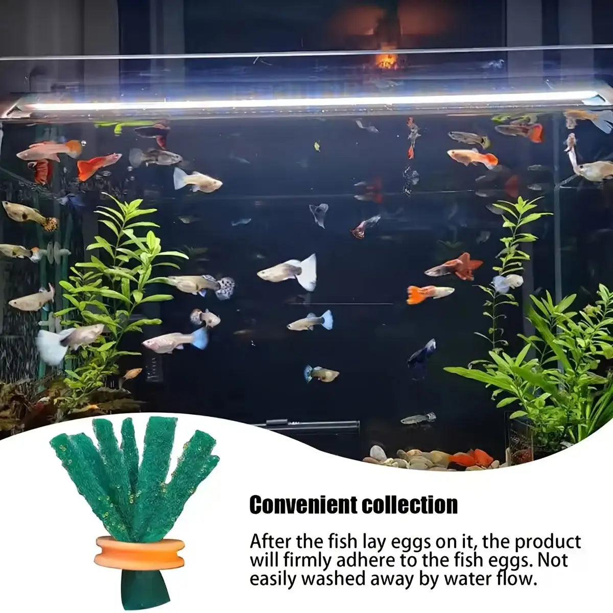 Fish Egg Collector 10PCS Aquarium Breeding Spawning Mop