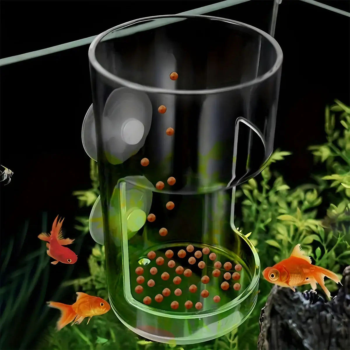 Fish Tank Feeder Box with Suction Cups