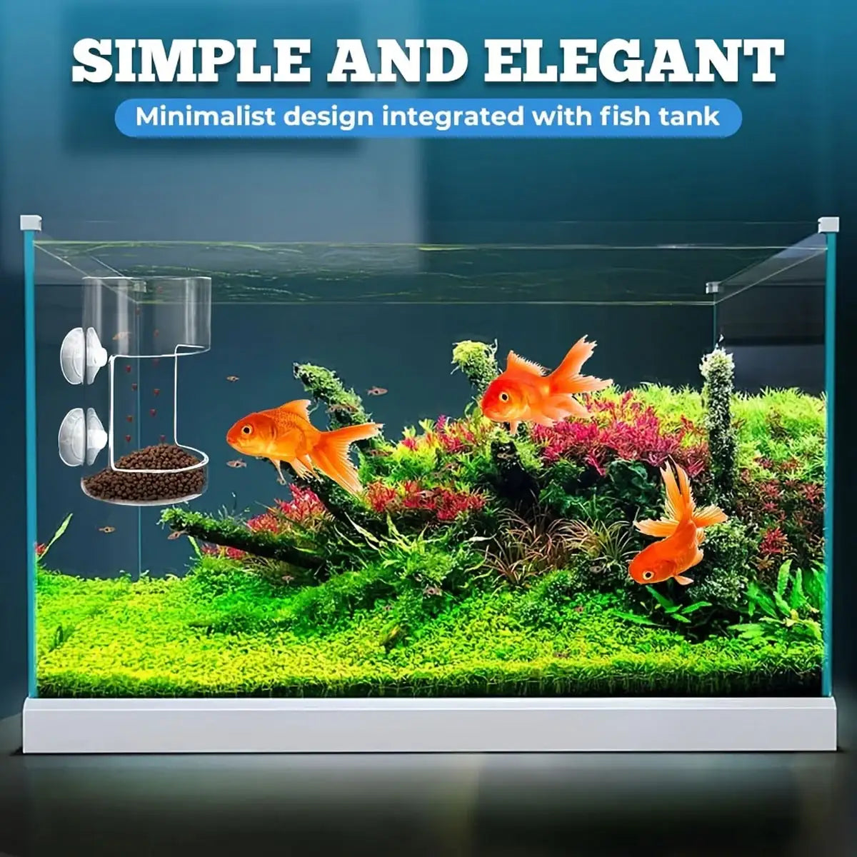 Fish Tank Feeder Box with Suction Cups