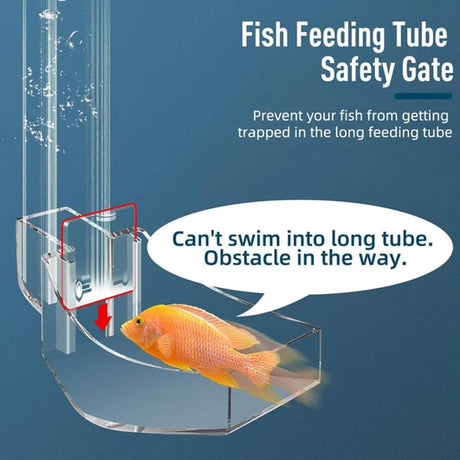 Clear 17cm aquarium feeding tube and ring for shrimp and fish – product view 12