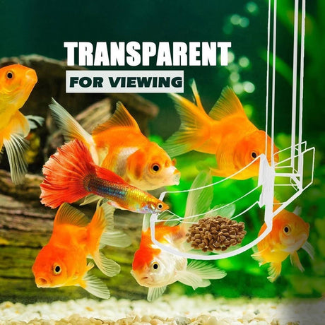 Clear 17cm aquarium feeding tube and ring for shrimp and fish – product view 5