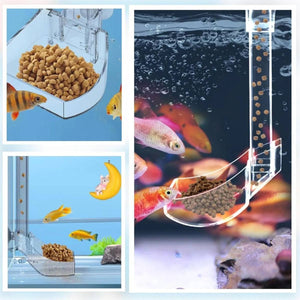 Fish Tank Feeder Tube - Crystal Shrimp Feeding Ring (17cm)