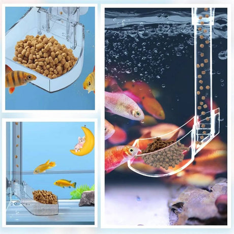 Clear 17cm aquarium feeding tube and ring for shrimp and fish – product view 10