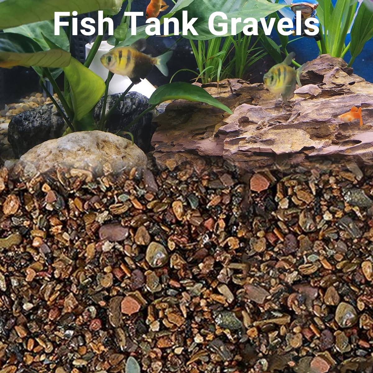 Volcanic Aquarium Sand 6MM - Yee Stream Stone Bottom Substrate