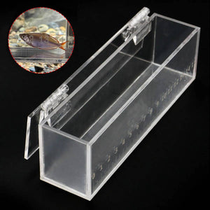 Fish Measuring Box With Ruler