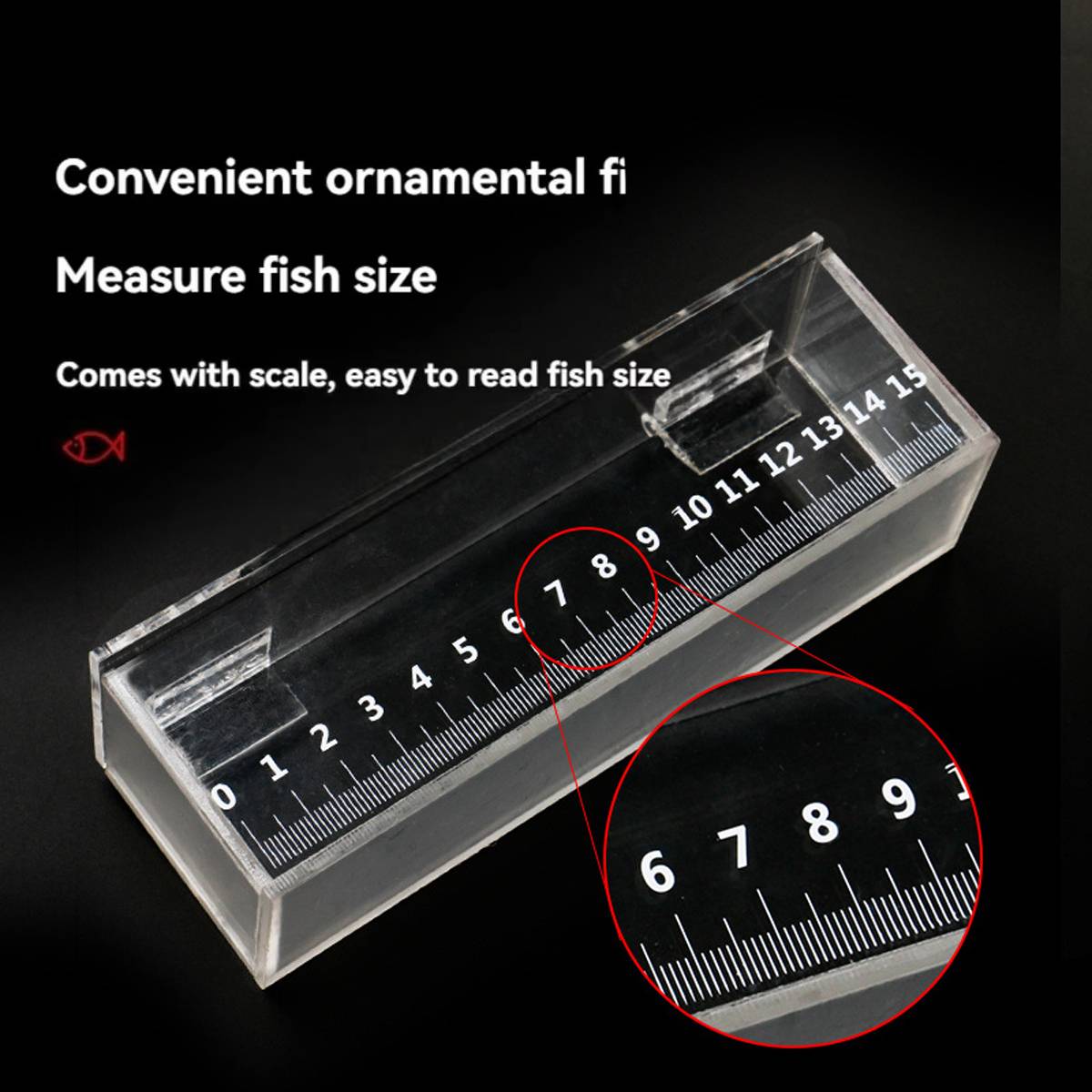 Fish Measuring Box With Ruler