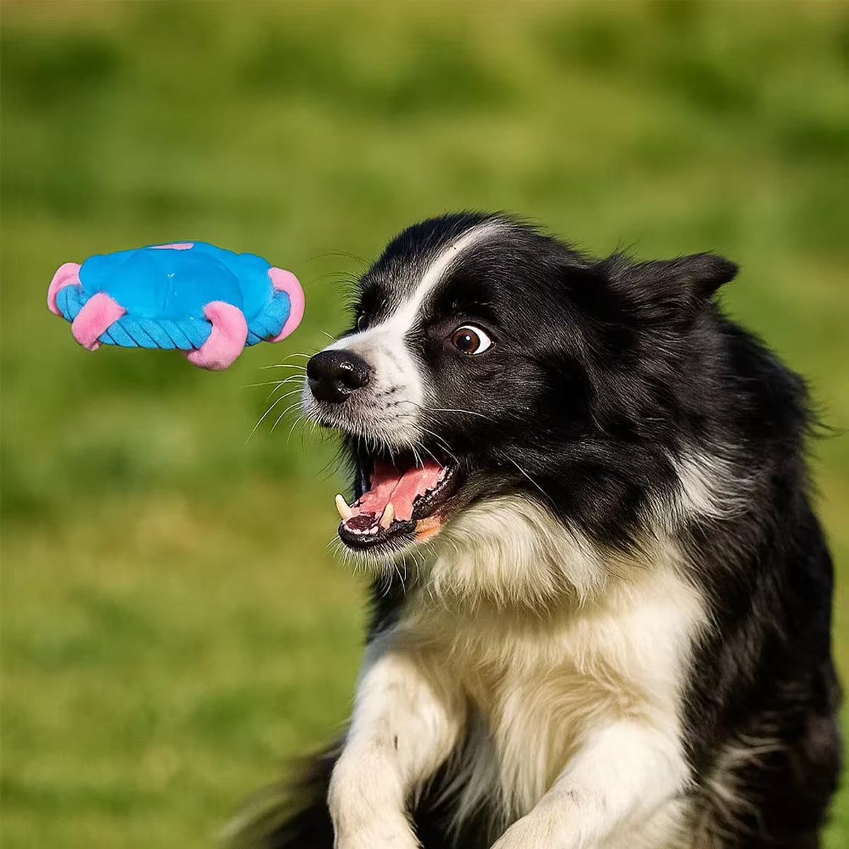 Flower Frisbee Dog Toy With Rope And Squeaker