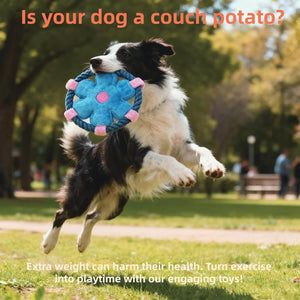 Flower Frisbee Dog Toy With Rope And Squeaker