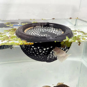 Floating Fish Lounge Resting & Hiding Area for Bettas and Small Fish