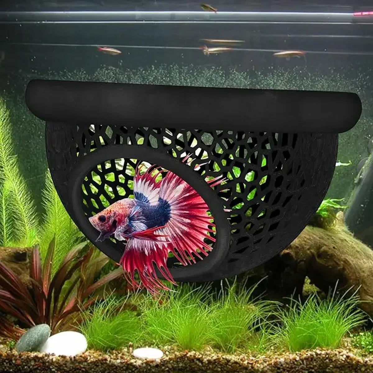 Floating Fish Lounge Resting & Hiding Area for Bettas and Small Fish