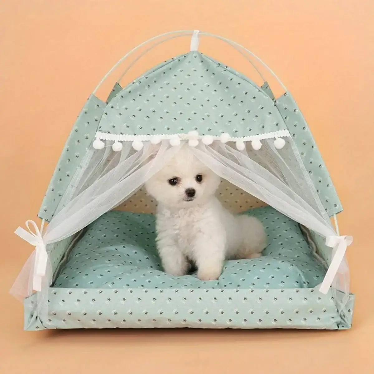 Whimsical Indoor Hideaway Cat Tent with Cushion for Small Pets