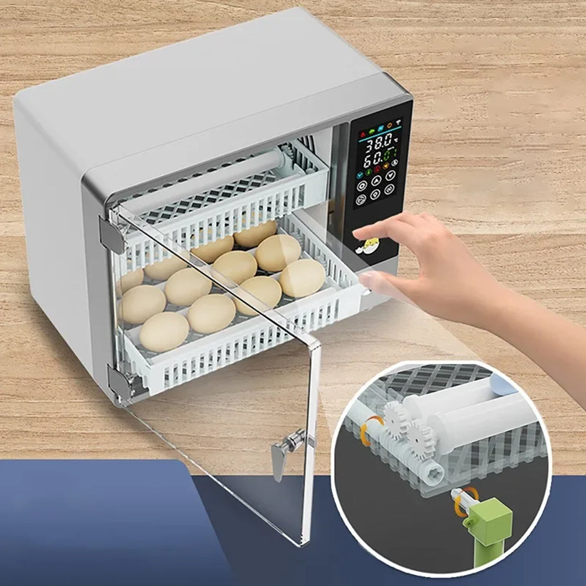 Fully Automatic Egg Incubator With Touch Screen