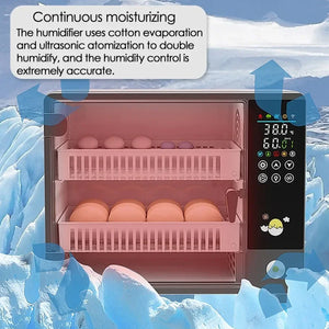 Fully Automatic Egg Incubator With Touch Screen