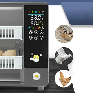 Fully Automatic Egg Incubator With Touch Screen
