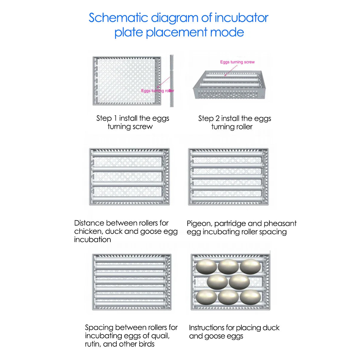 Fully Automatic Egg Incubator With Touch Screen