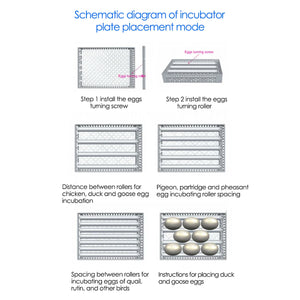 Fully Automatic Egg Incubator With Touch Screen
