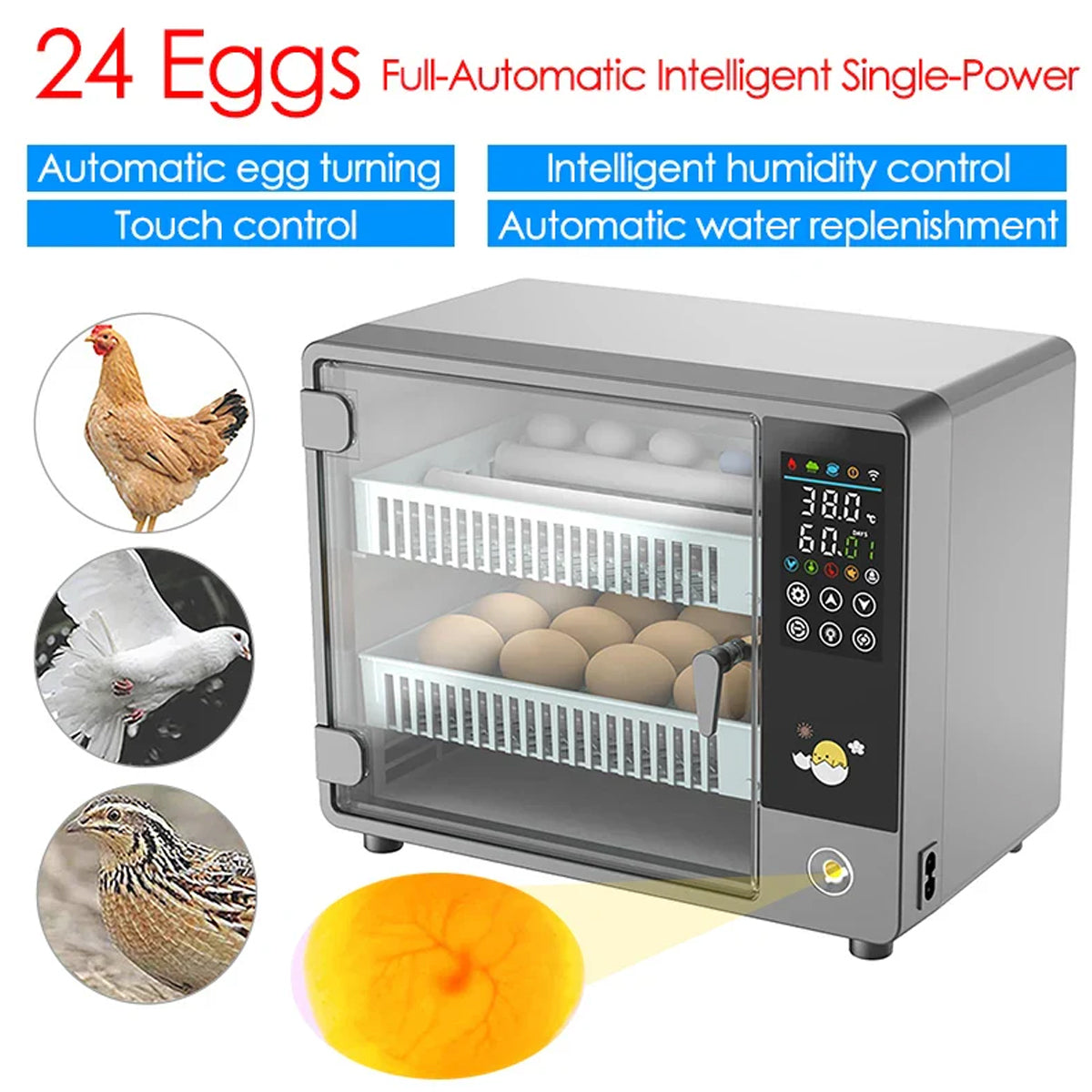 Fully Automatic Egg Incubator With Touch Screen