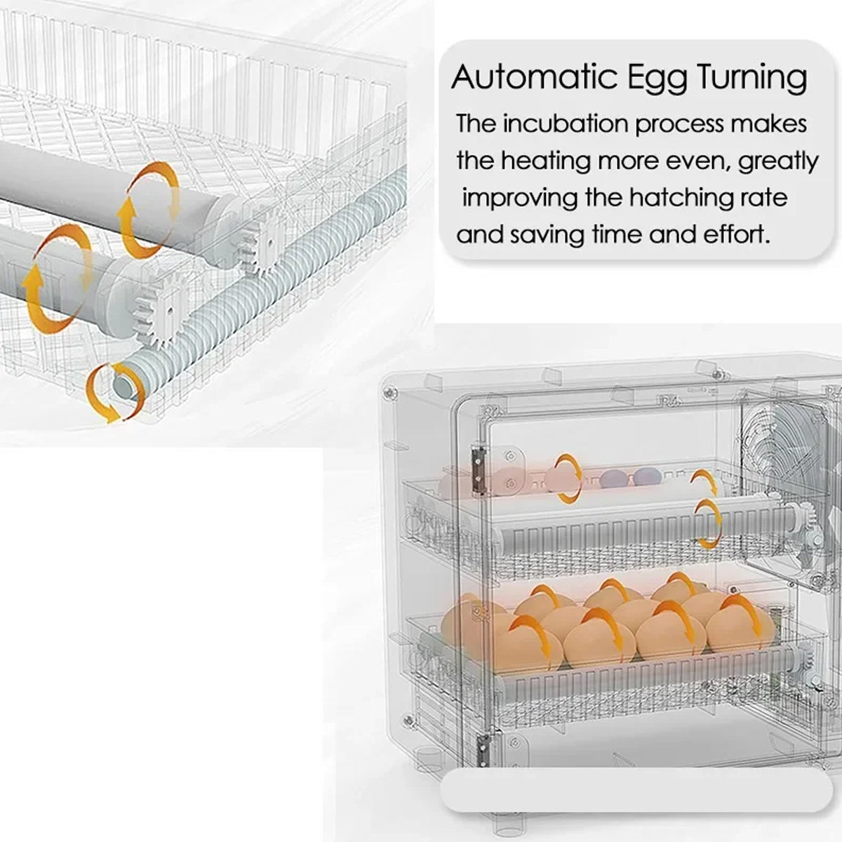Fully Automatic Egg Incubator With Touch Screen
