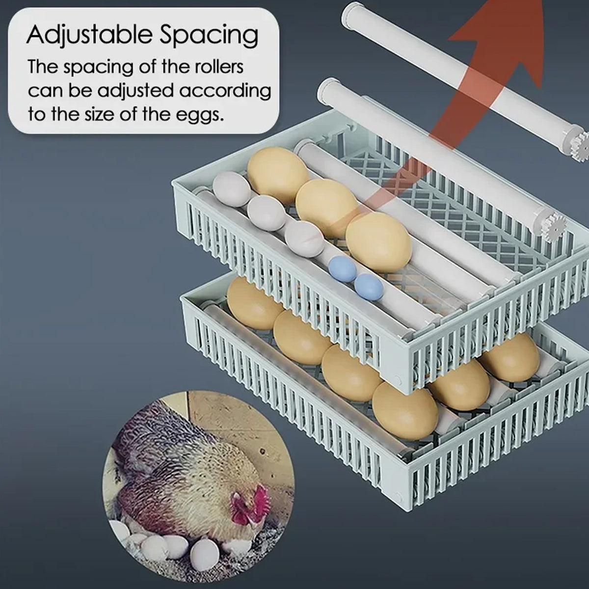 Fully Automatic Egg Incubator With Touch Screen