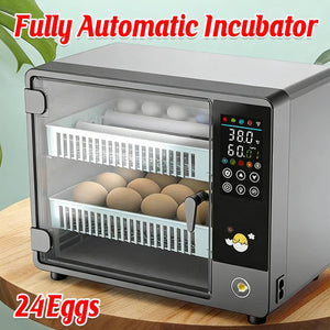 Fully Automatic Egg Incubator With Touch Screen