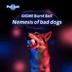 Durable and Lightweight Dog Toy Ball for Indoor & Outdoor Play