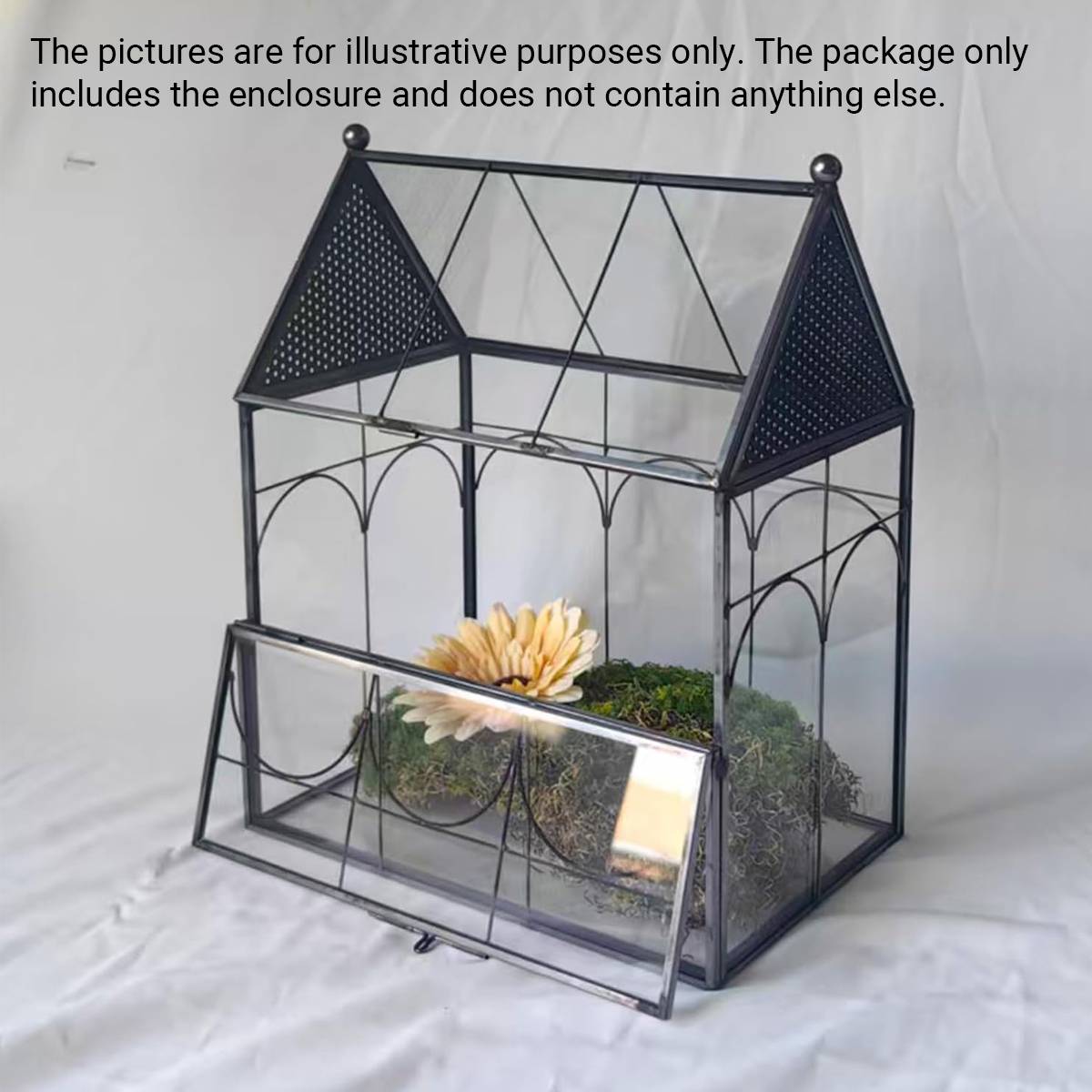 Glass Breeding Box Insect Terrarium With Vent