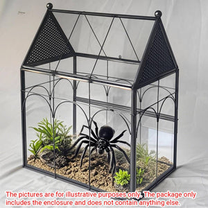Glass Breeding Box Insect Terrarium With Vent