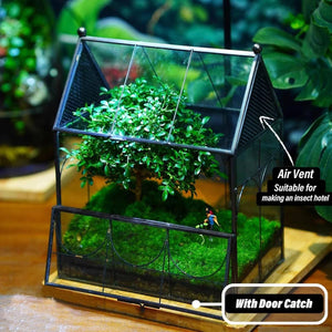 Glass Breeding Box Insect Terrarium With Vent