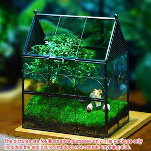 Glass Breeding Box Insect Terrarium With Vent