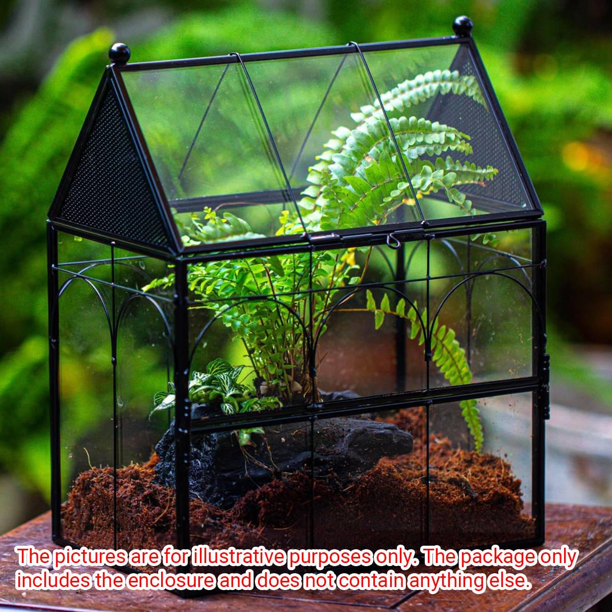 Glass Breeding Box Insect Terrarium With Vent