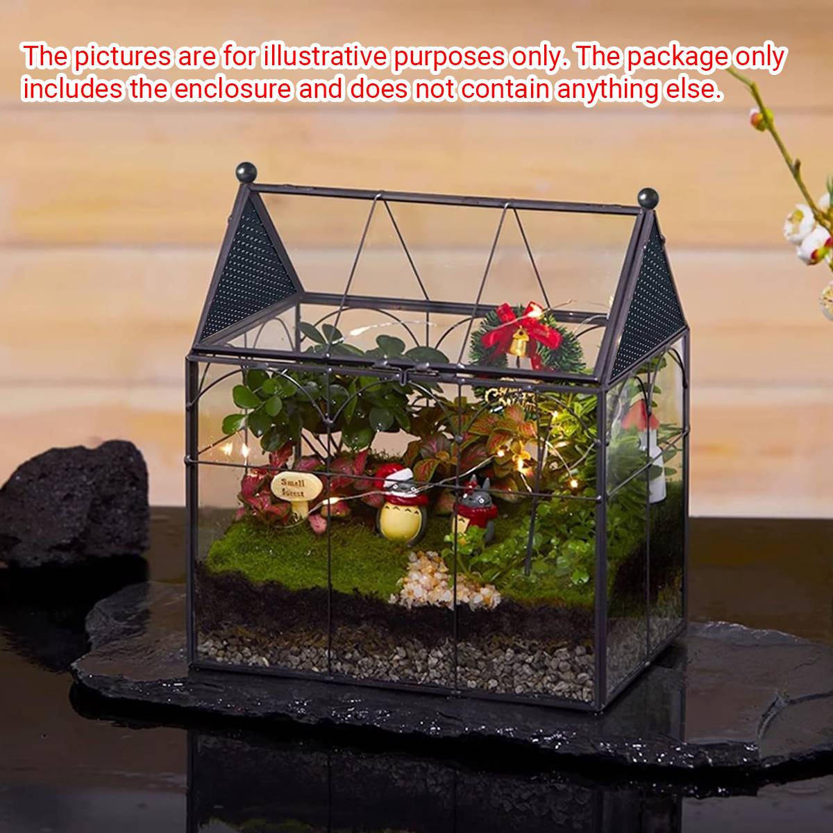 Glass Breeding Box Insect Terrarium With Vent