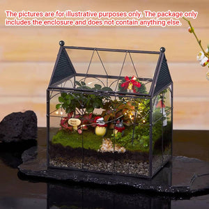 Glass Breeding Box Insect Terrarium With Vent