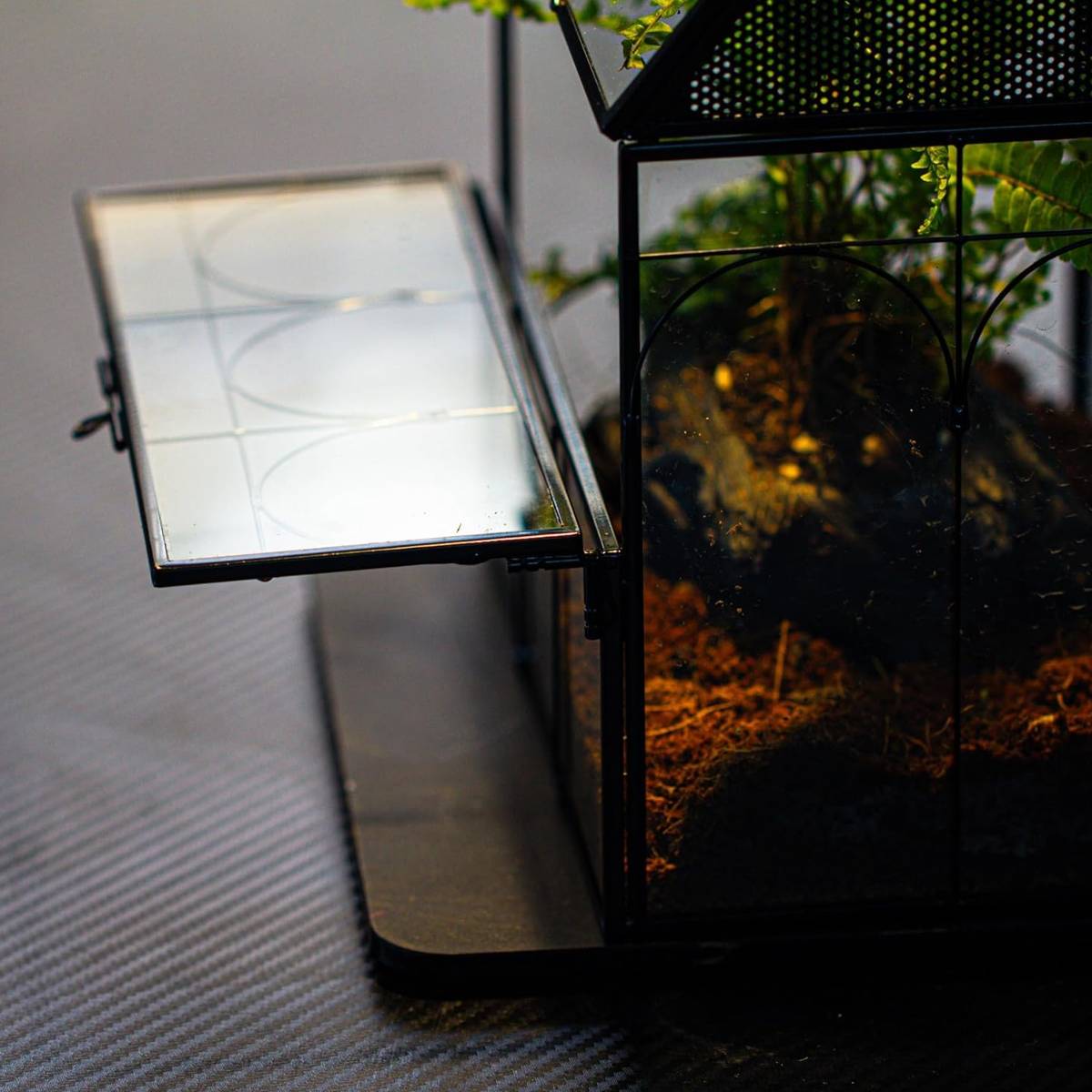 Glass Breeding Box Insect Terrarium With Vent