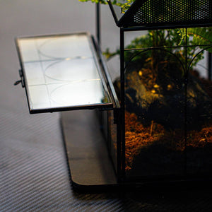 Glass Breeding Box Insect Terrarium With Vent