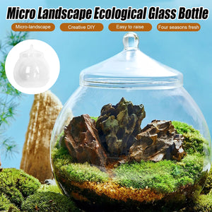 Micro Landscape Glass Bottle With Lid