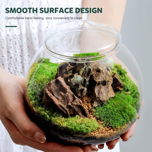Micro Landscape Glass Bottle With Lid