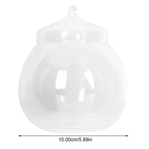 Micro Landscape Glass Bottle With Lid