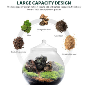 Micro Landscape Glass Bottle With Lid